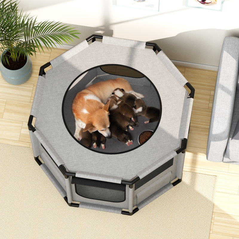 Octagon dog playpen outlet